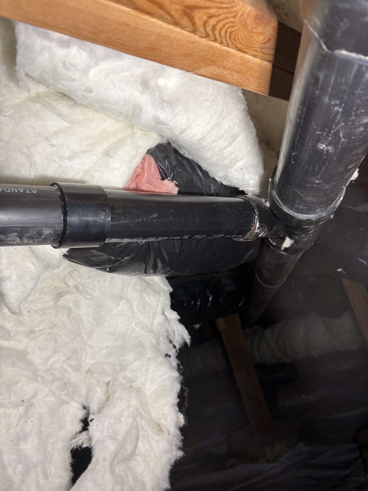 A new section of black two-inch ABS drain pipe joined with a coupling into a wye on a three-inch drain that rises between floor joists, pink and white insulation pulled back around it