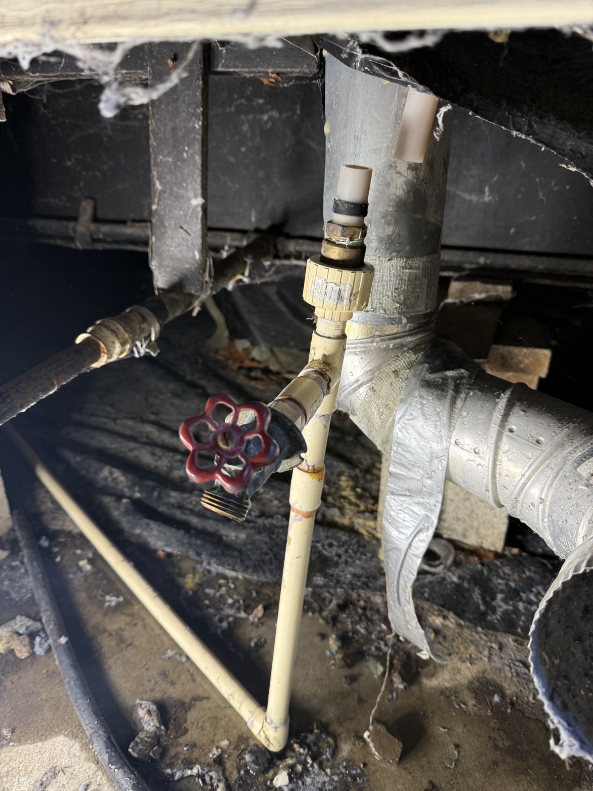 Old red-handled boiler drain valve screwed into a tee on a tan CPVC water main inside a dim crawlspace, with cobwebs and a foil-taped duct behind it