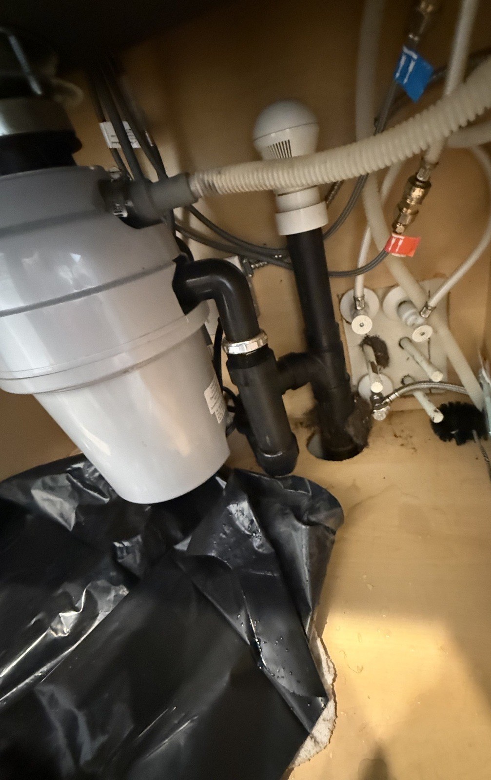 Cabinet interior under a kitchen sink with a garbage disposal, a black trap and tailpiece, braided supply lines tagged hot and cold, and a drain pipe dropping through the cabinet floor