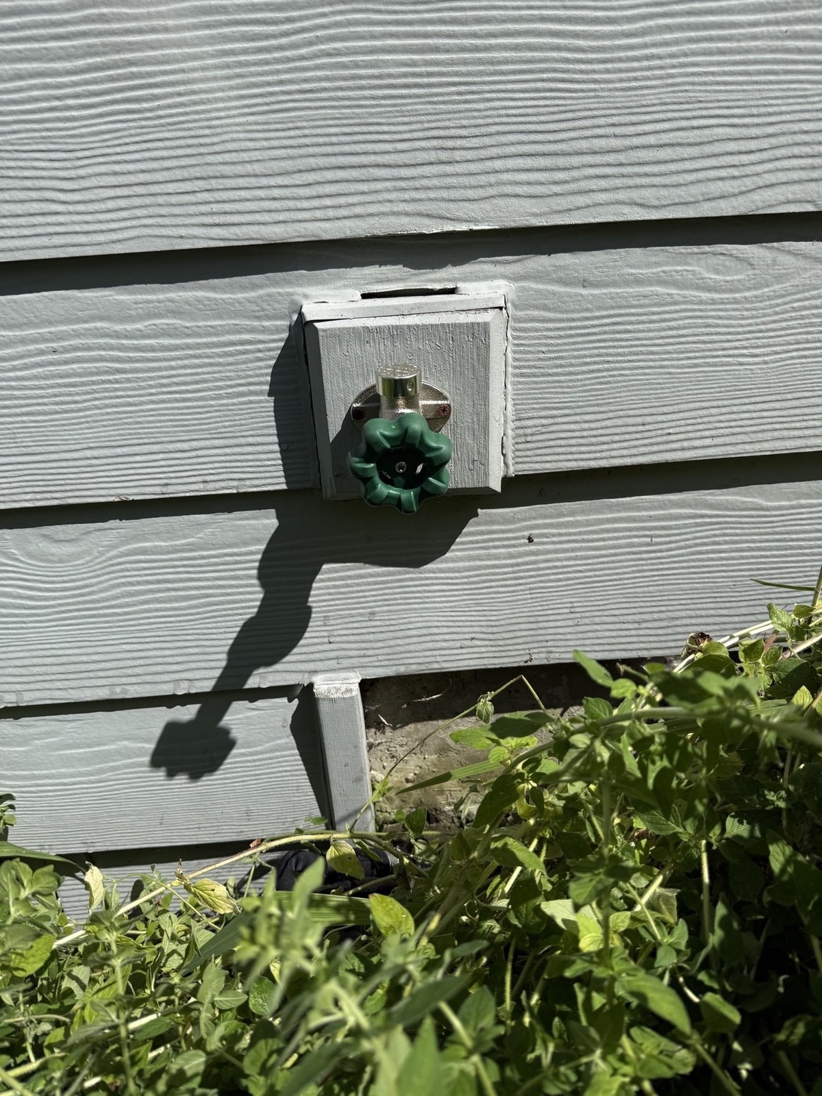Leak Repair in Duvall: The Spigot That Wouldn't Stop Dripping