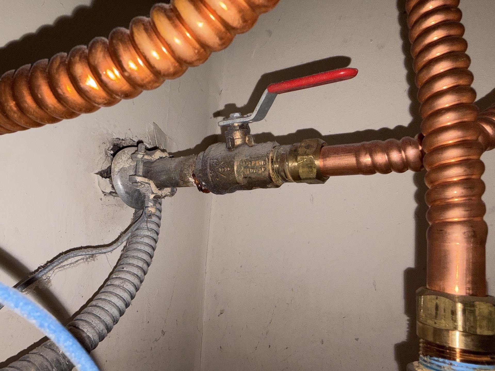 Water Line Repair in Seattle: "Lighthouse Was Wonderful!"